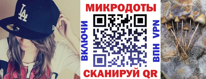 Псилоцибиновые грибы Cubensis  shop Telegram  Инза  магазин продажи наркотиков 